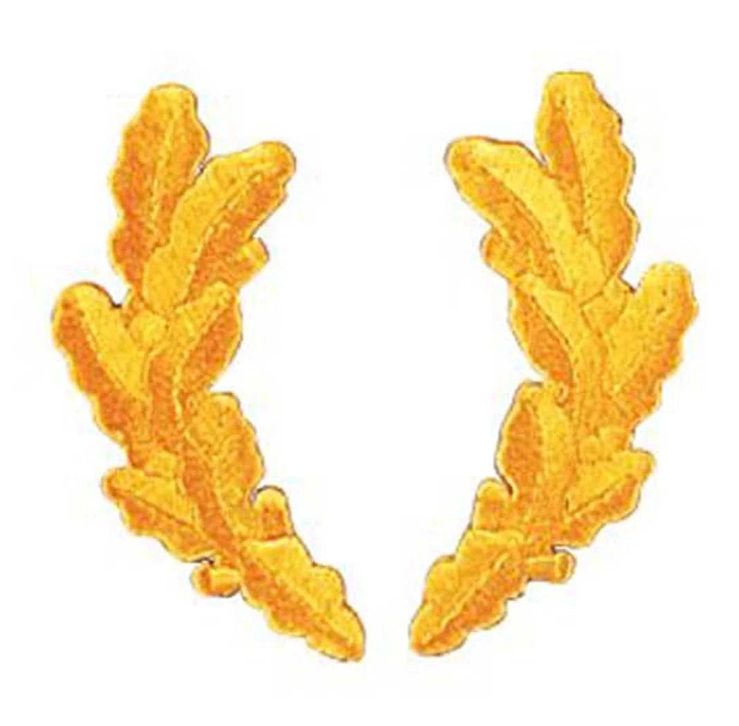 Scrambled Eggs Military Patch - Rothco 1599