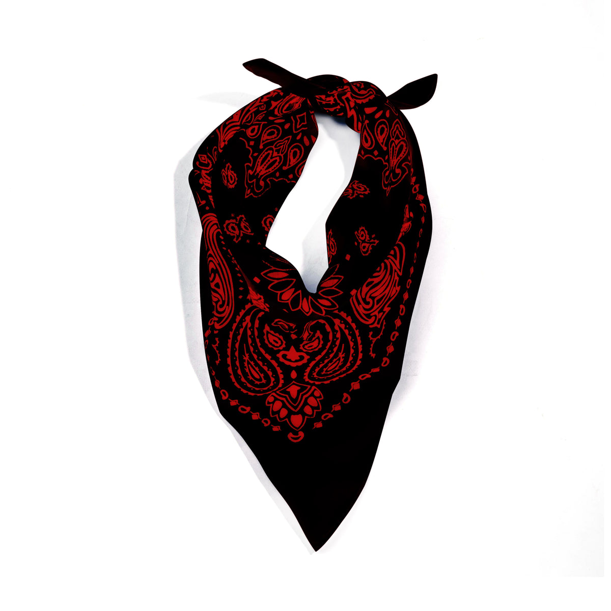 Rothco Trainmen Paisley Bandana - 22" X 22" - Rothco 4043