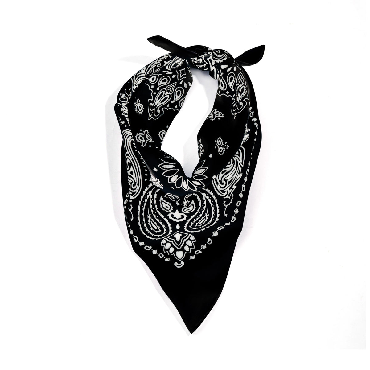 Rothco Trainmen Paisley Bandana - 22" X 22" - Rothco 4143