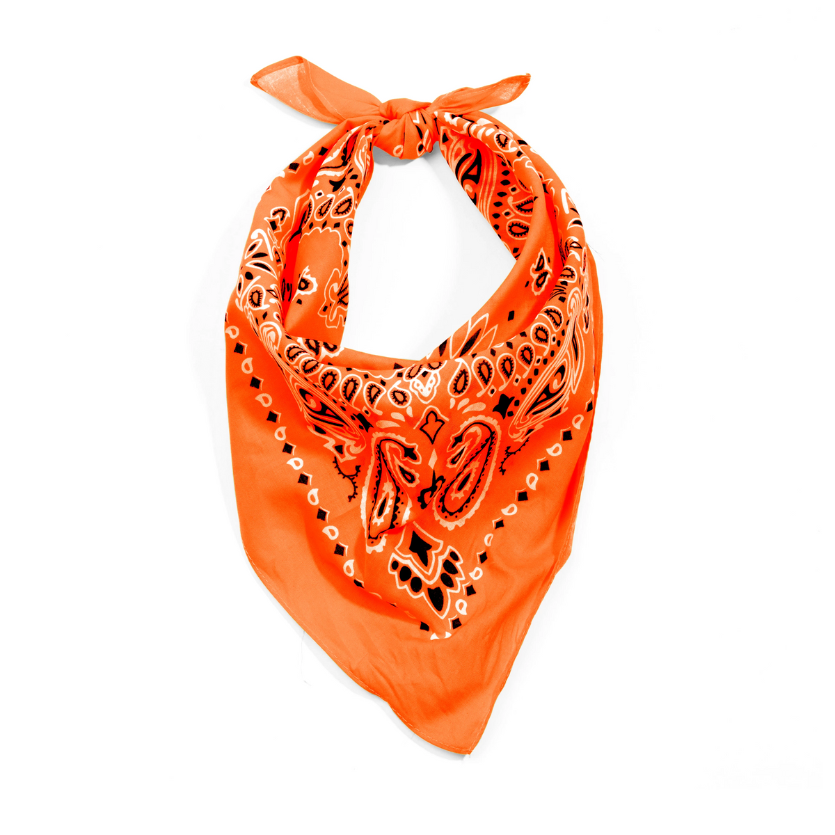Rothco Trainmen Paisley Bandana - 22" X 22" - Rothco 4948