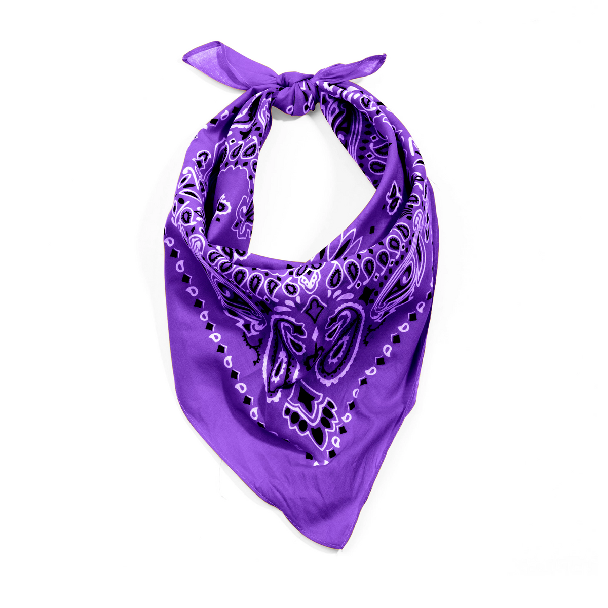 Rothco Trainmen Paisley Bandana - 22" X 22" - Rothco 4053