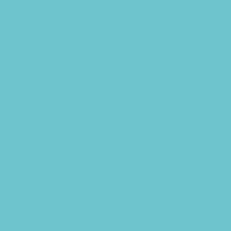 Rothco Nylon Paracord Type III 550 LB - Turquoise