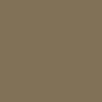 Rothco ECWCS Gen III Level II Underwear Crew Top - AR 670-1 Coyote Brown