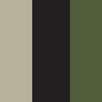 Rothco Web Belts In 3 Pack - Khaki / Black / Olive Drab