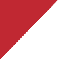 Rothco Trainmen Paisley Bandana - 22" X 22" - Red / White