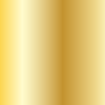 Rothco Special Police Badge - Gold
