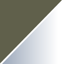 Rothco ANSI Rated OTG Goggles - Olive Drab / Clear