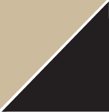 Rothco Thin Blue Line T-Shirt - Desert Sand w/ Black Flag
