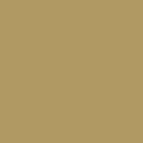 Rothco Generation III Level 3 ECWCS Fleece Jacket - AR Tan